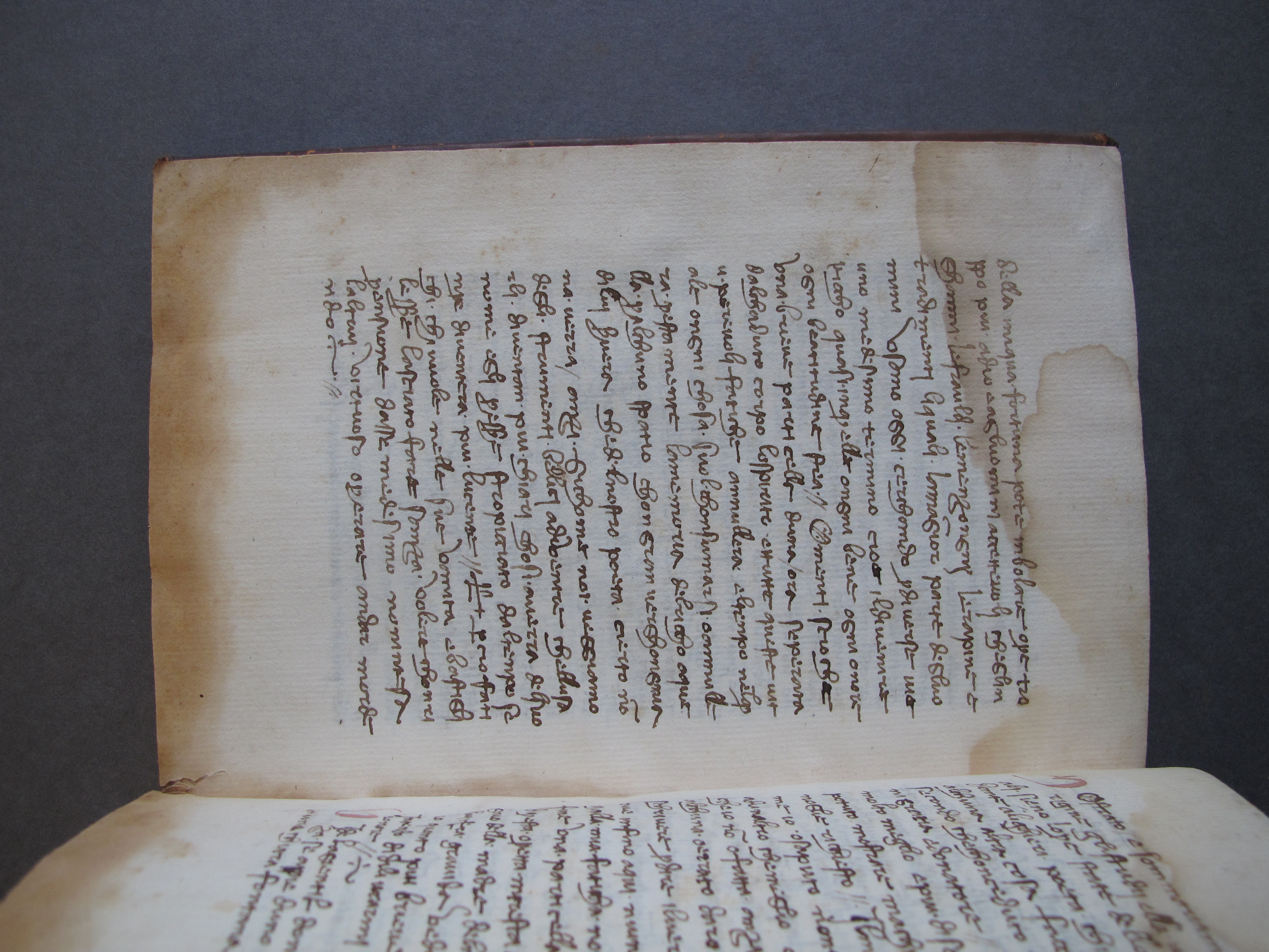 Folio 49 verso