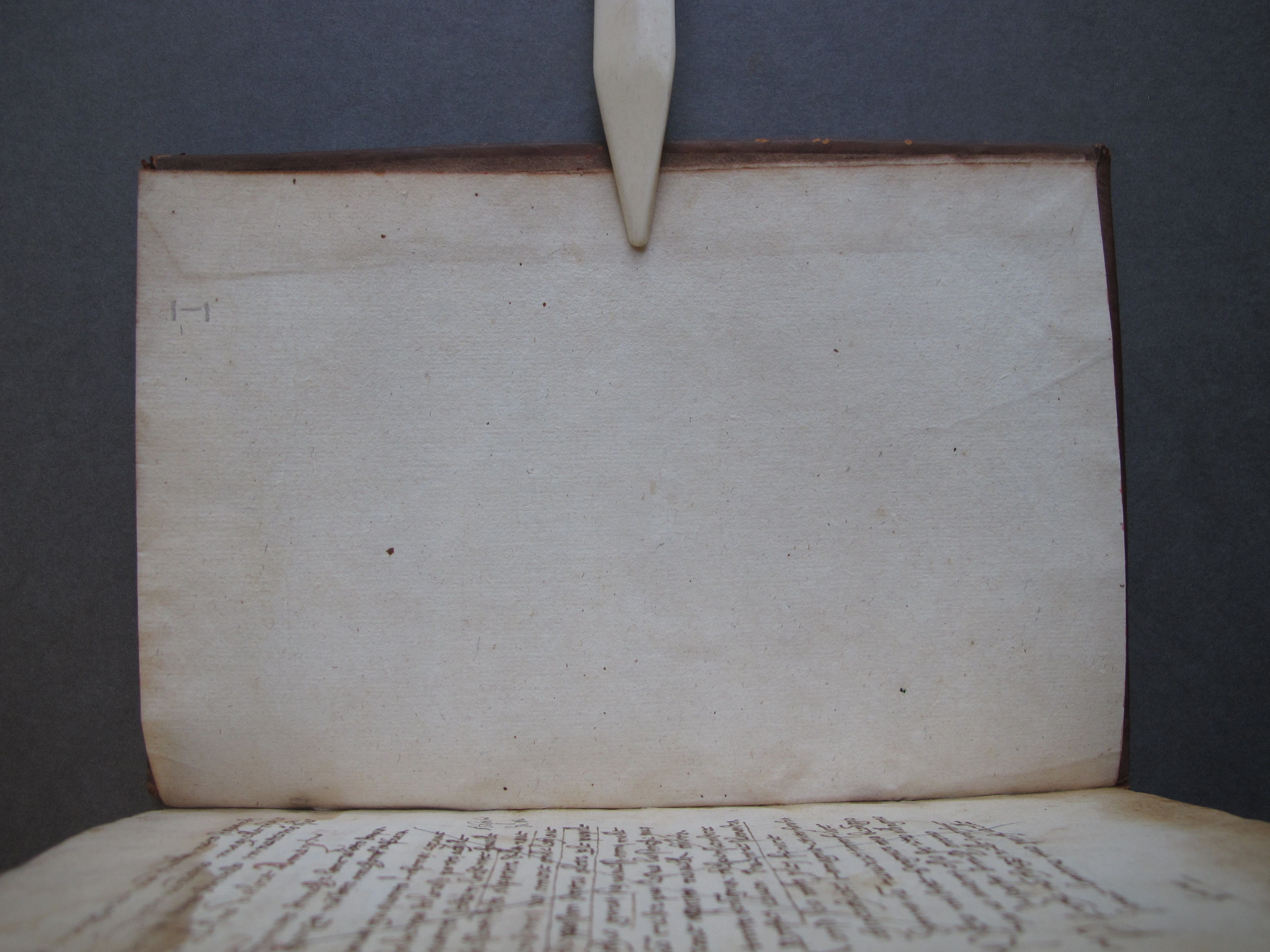 Folio 56 recto