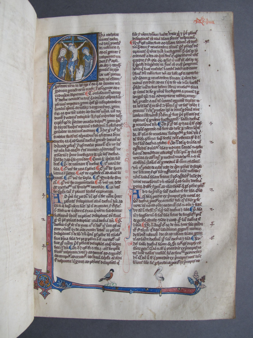 Folio 5 recto