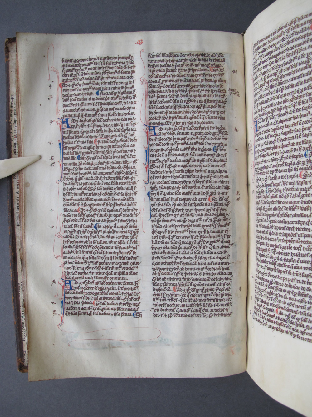 Folio 5 verso