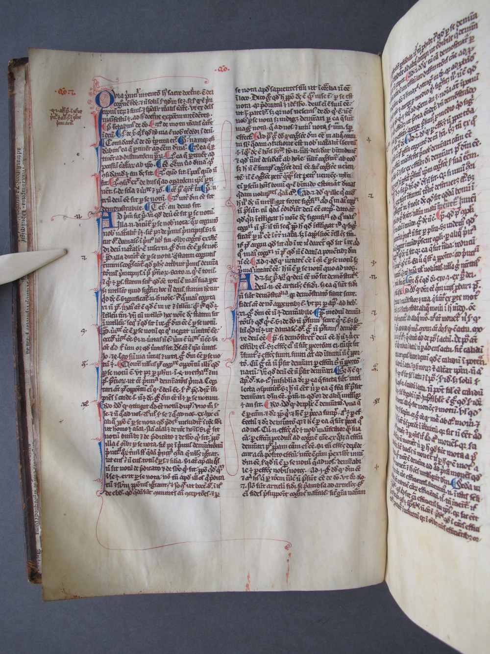 Folio 7 verso