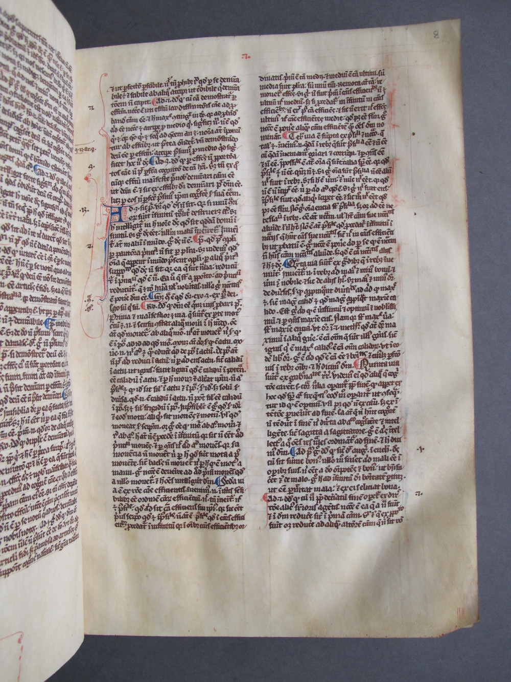 Folio 8 recto