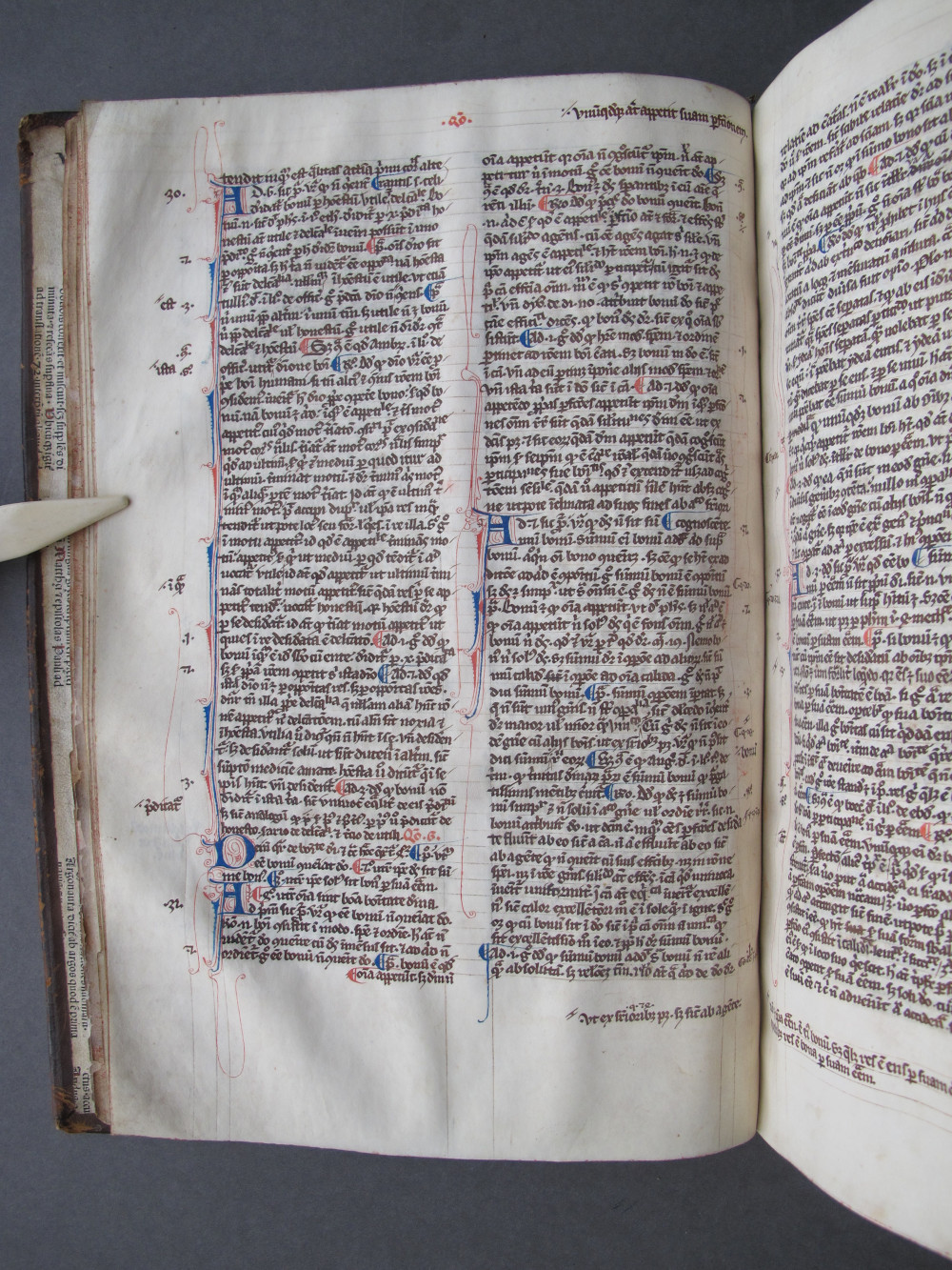 Folio 12 verso