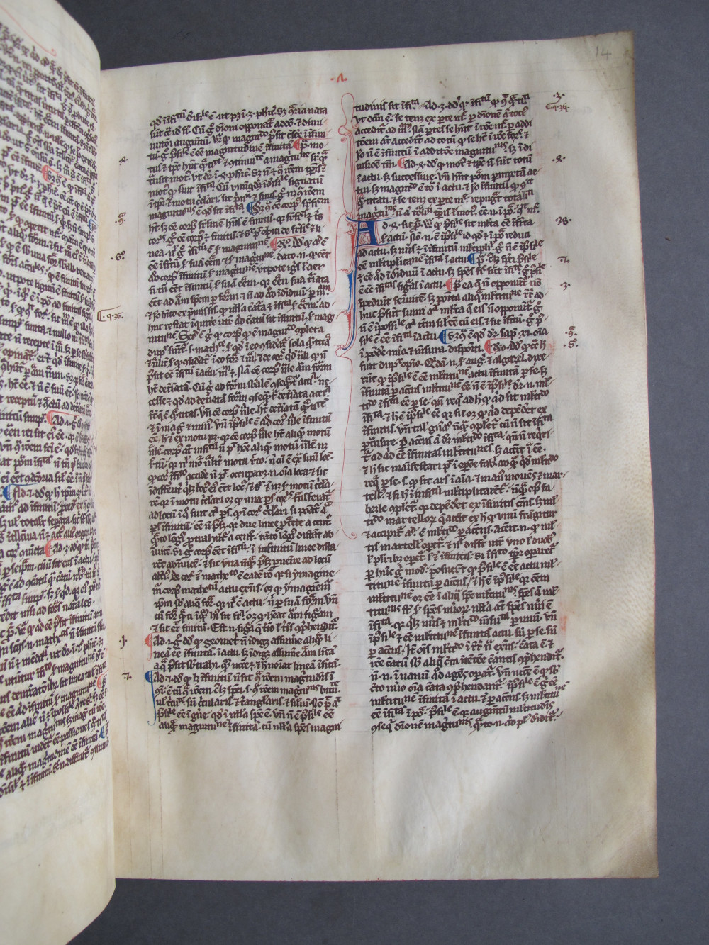 Folio 14 recto