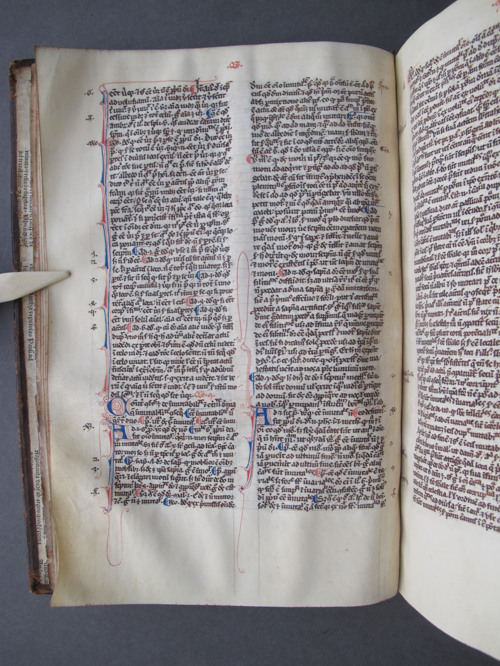 Folio 15 verso