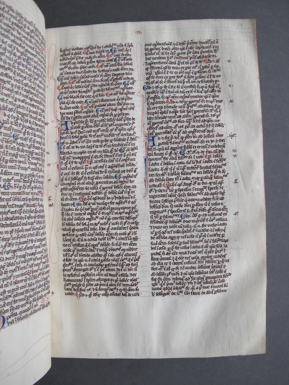 Folio 19 recto