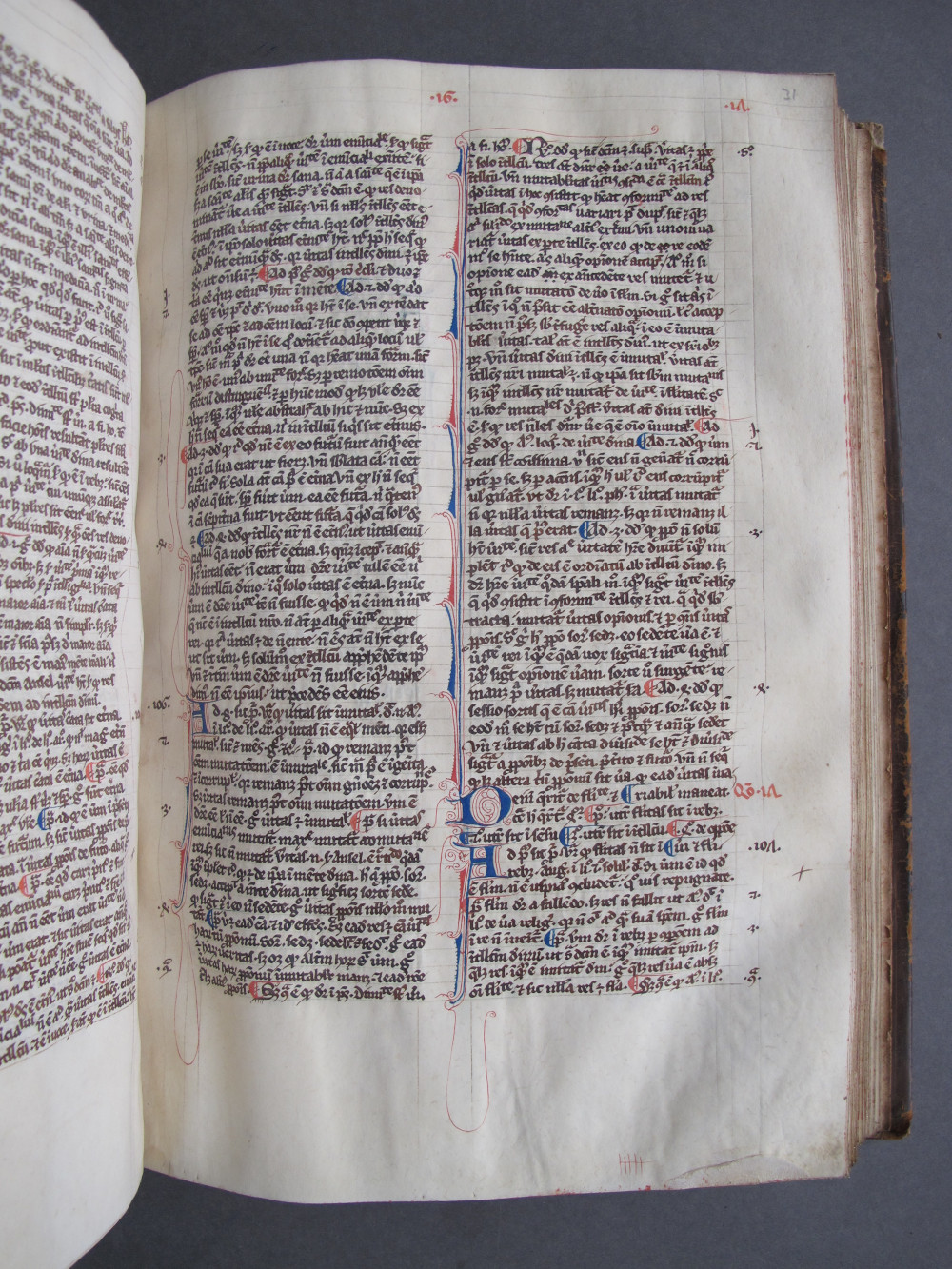 Folio 31 recto