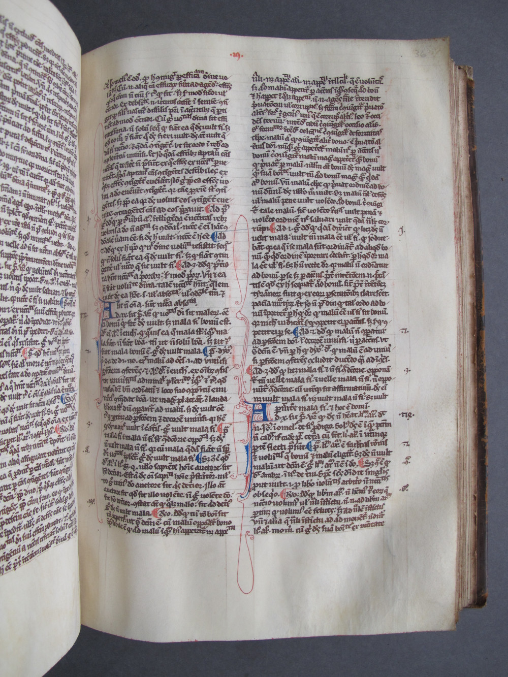 Folio 36 recto