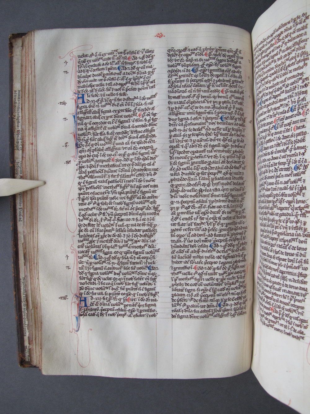 Folio 36 verso