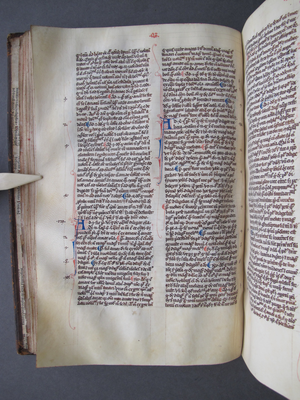 Folio 37 verso