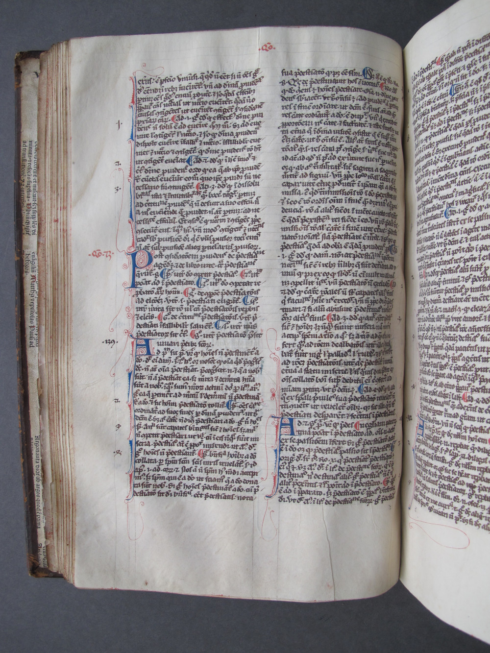 Folio 40 verso