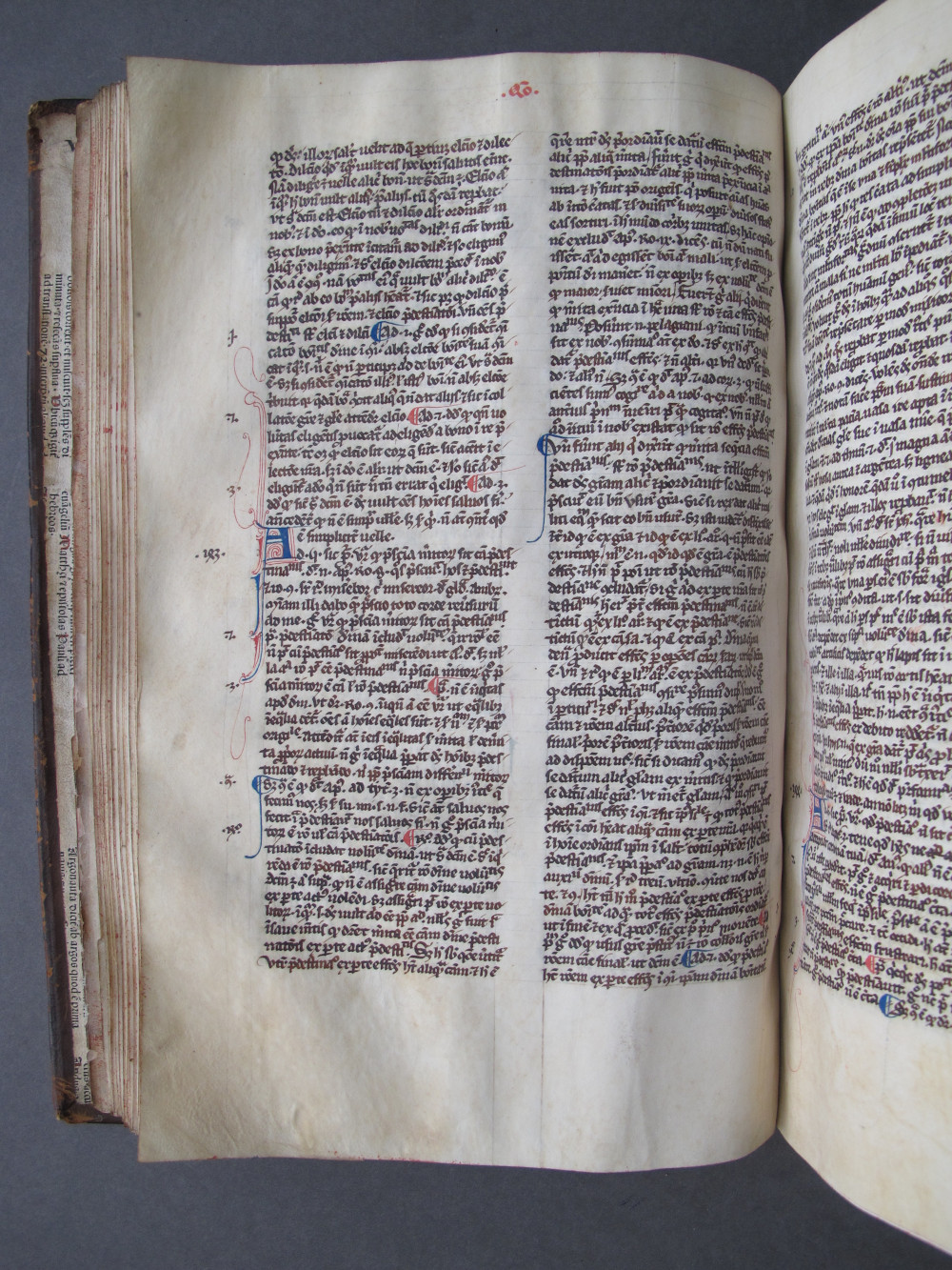 Folio 41 verso