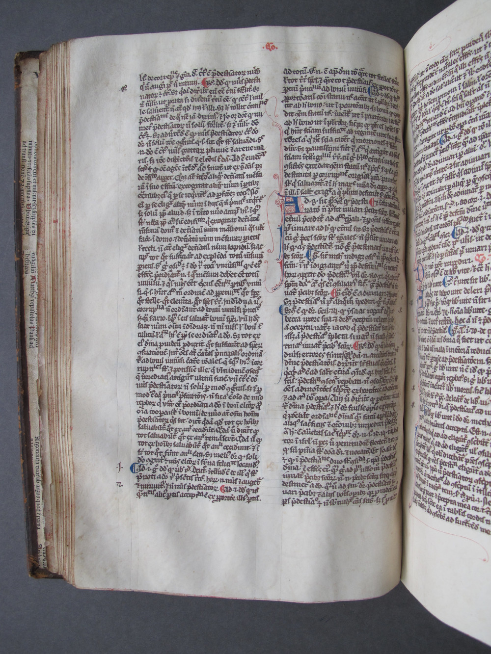 Folio 42 verso