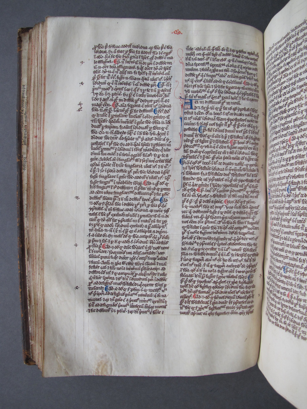 Folio 48 verso