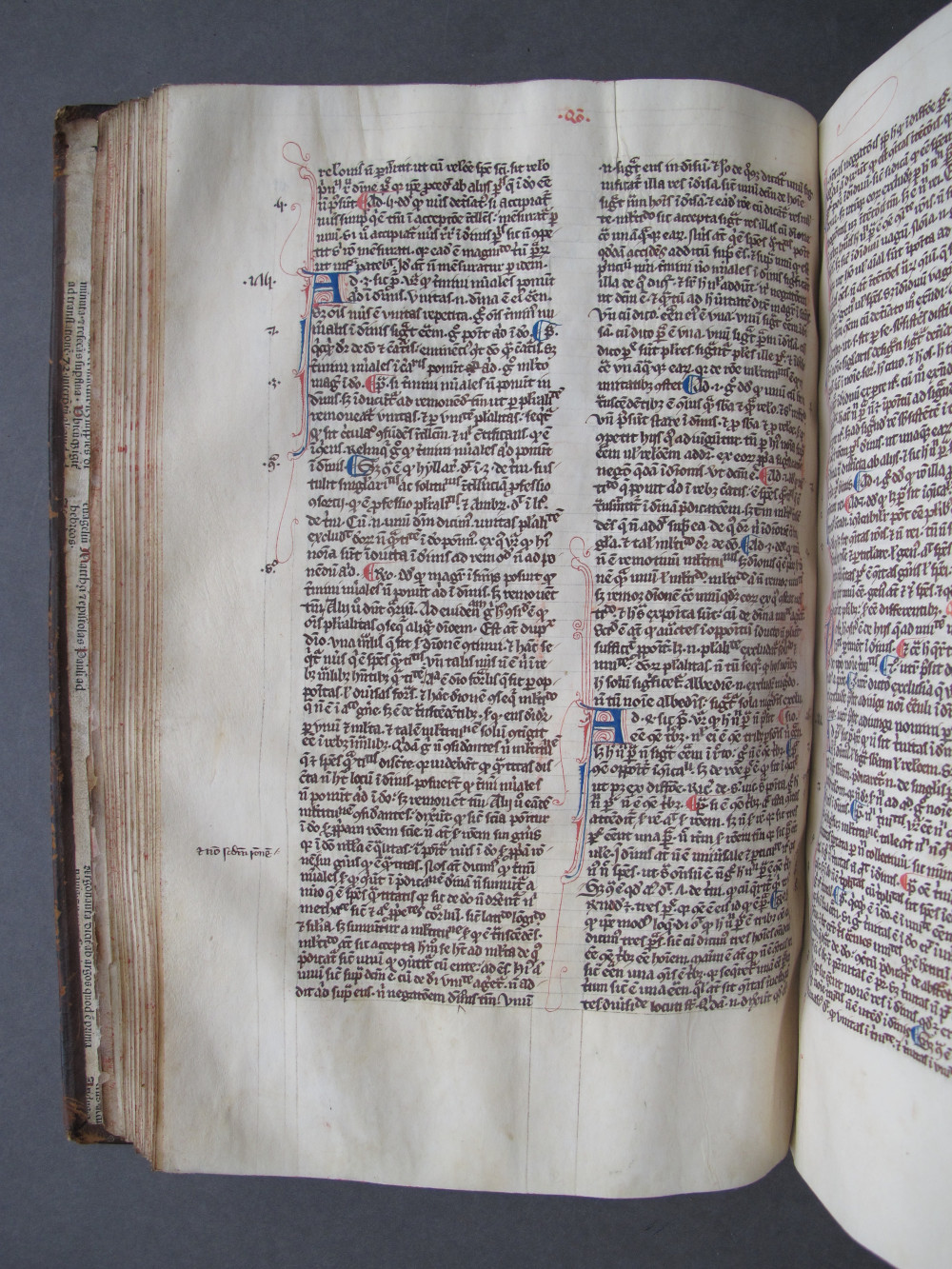 Folio 50 verso
