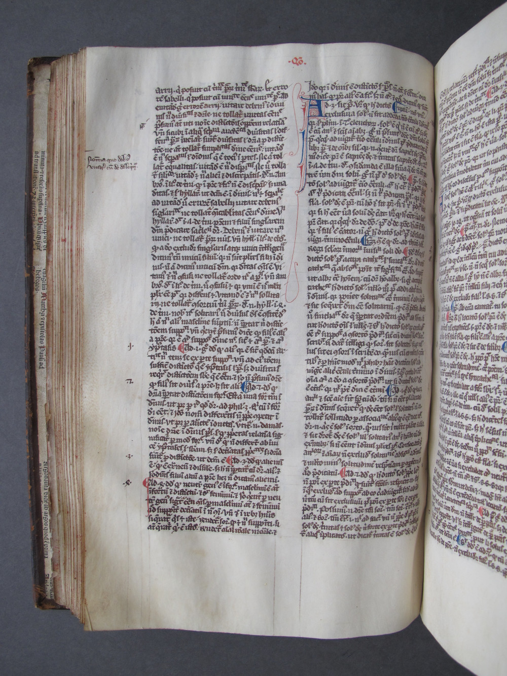 Folio 51 verso