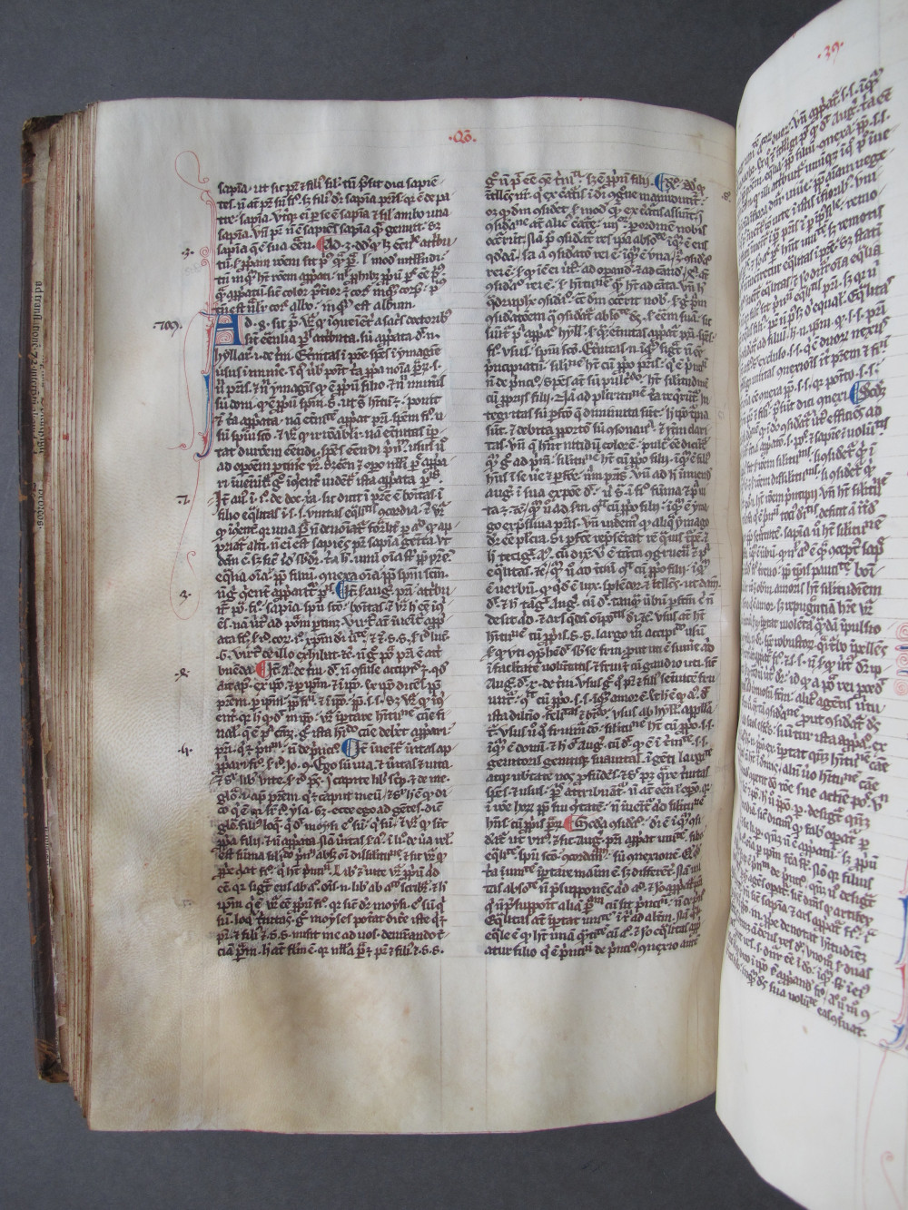 Folio 61 verso