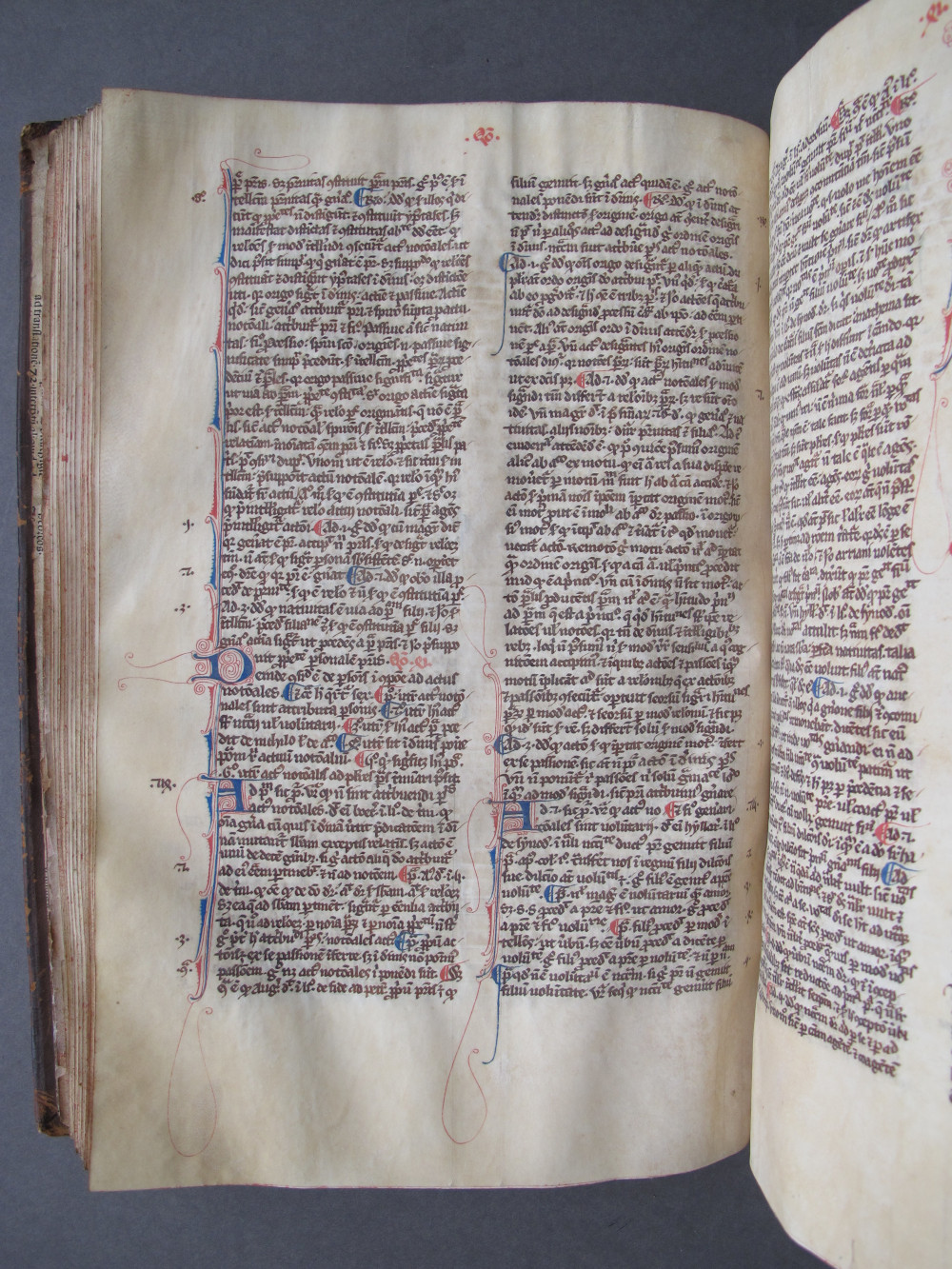 Folio 63 verso