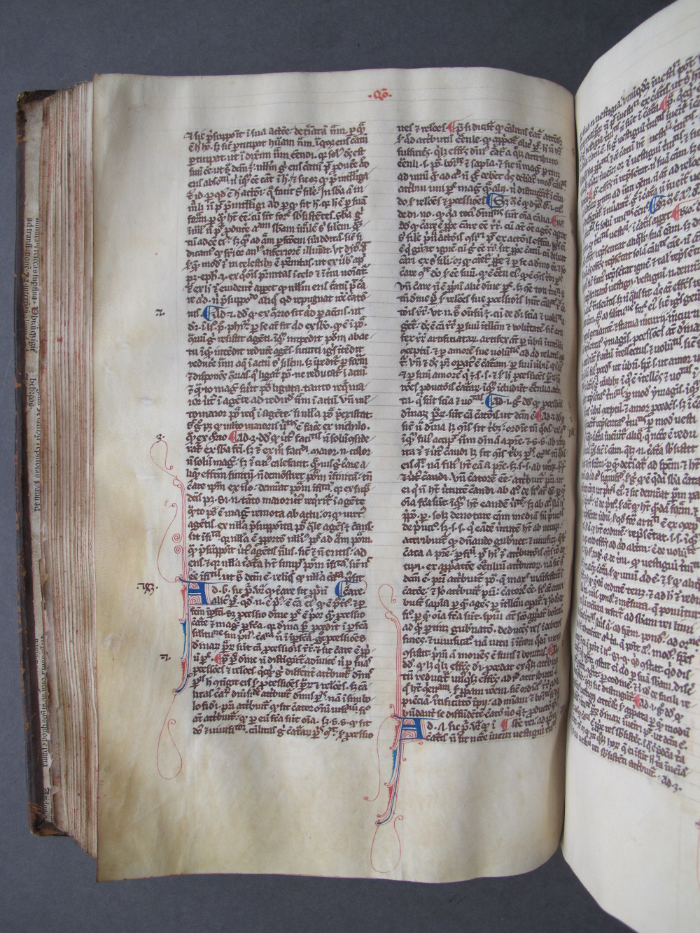 Folio 71 verso