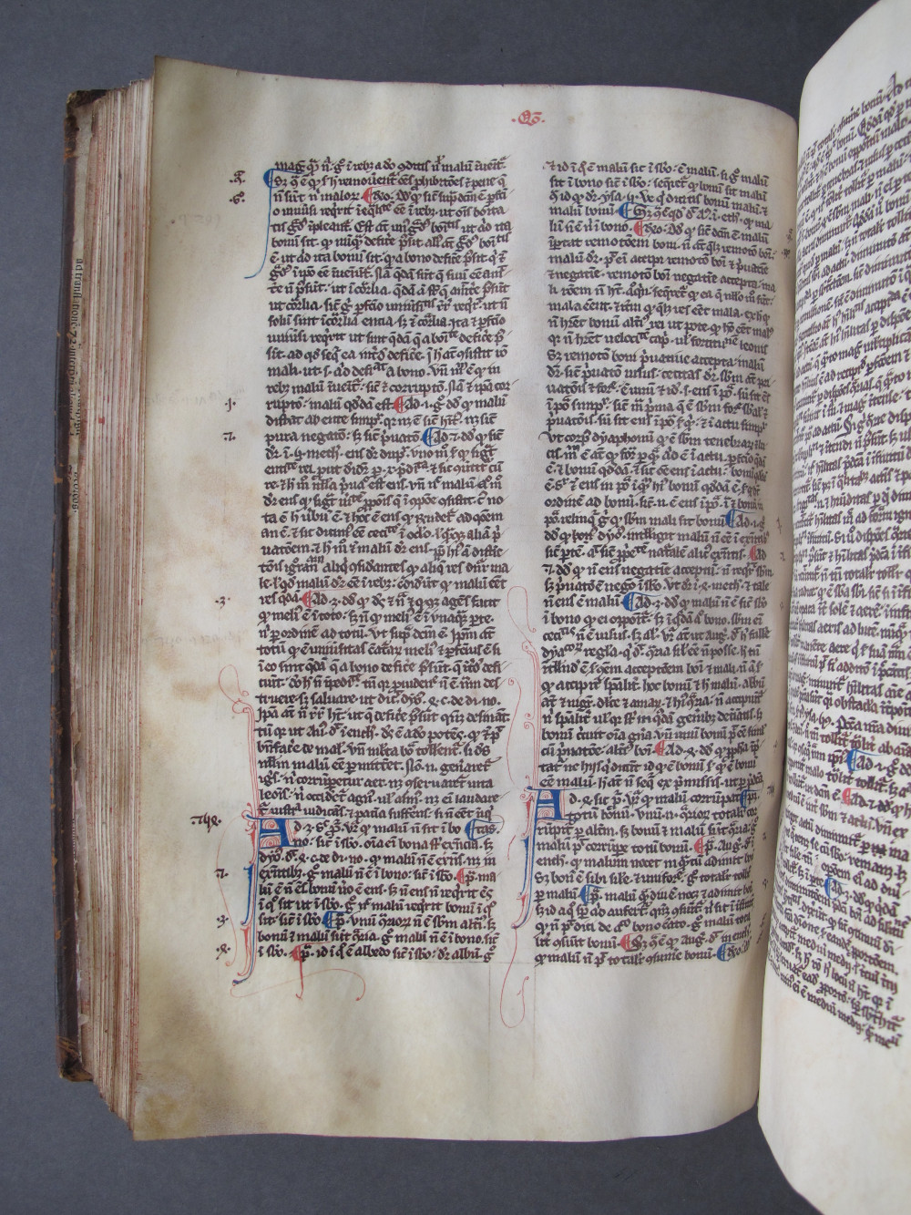 Folio 75 verso