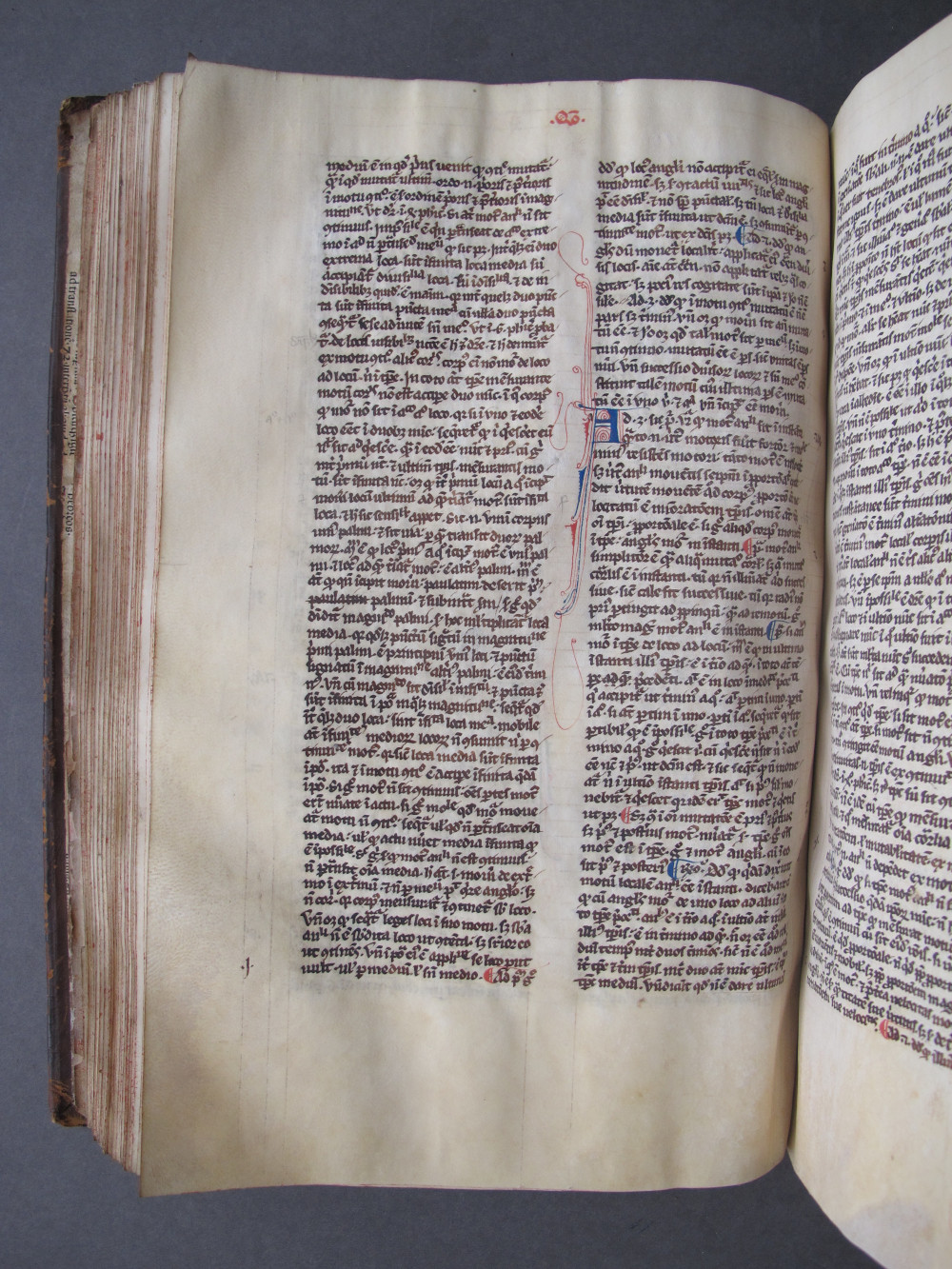 Folio 81 verso