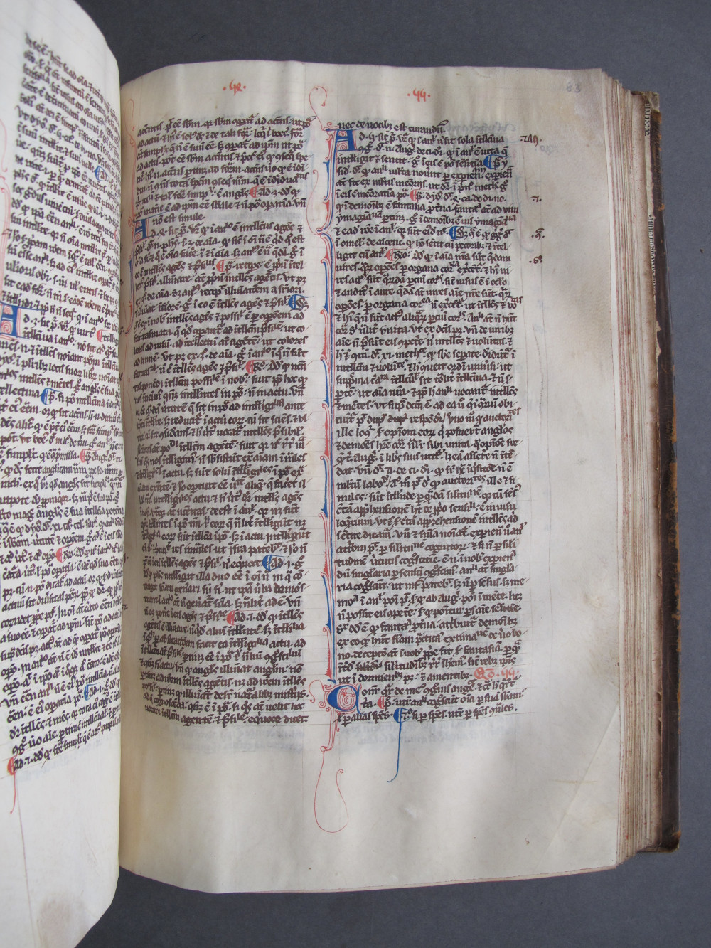 Folio 83 recto