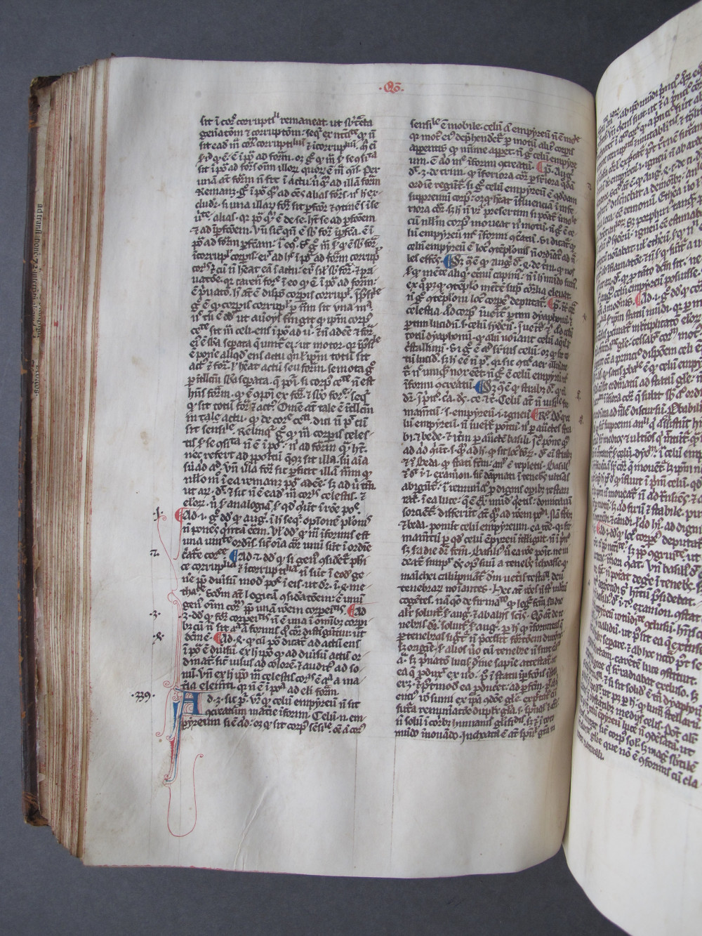 Folio 88 verso