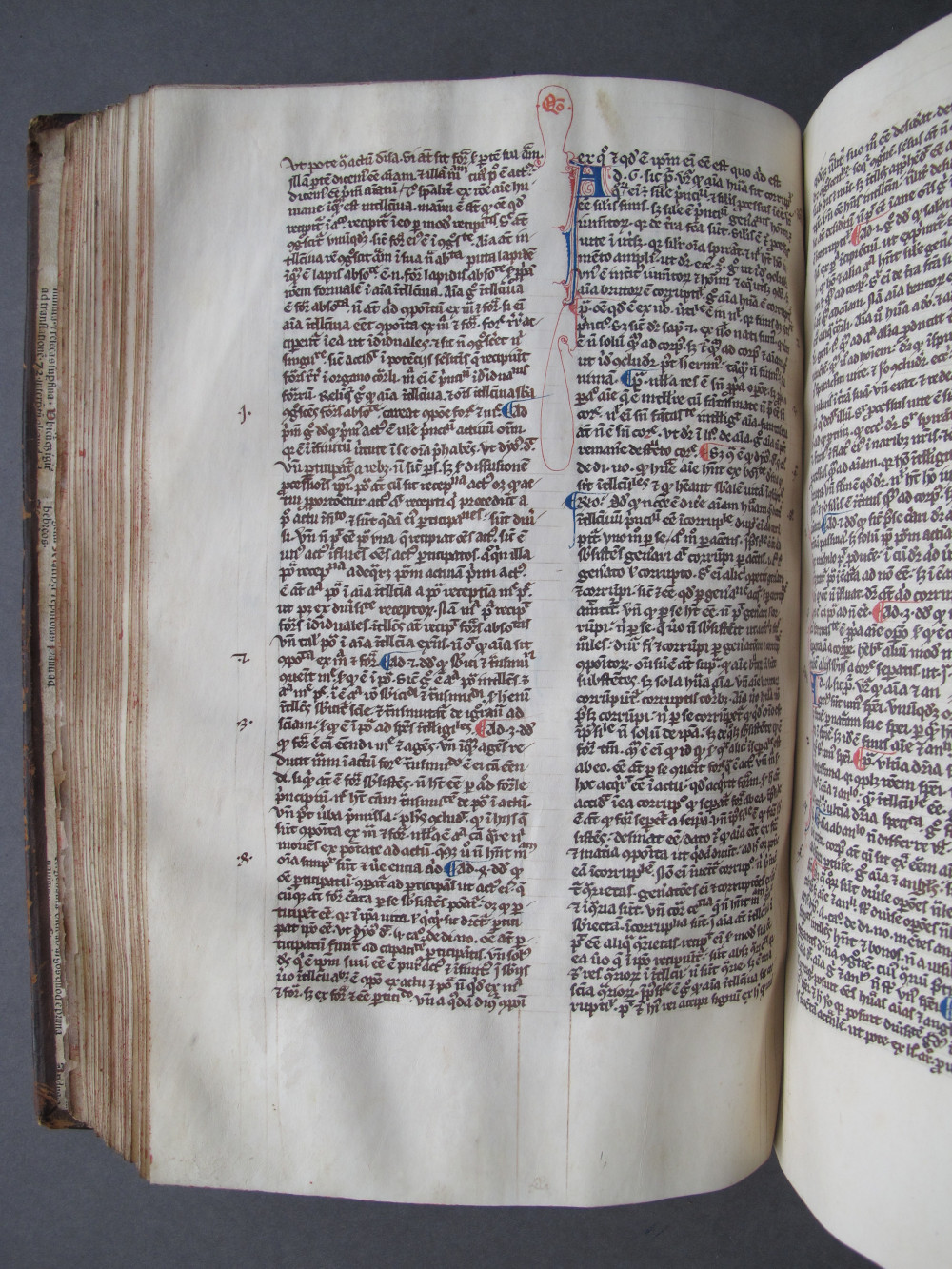 Folio 98 verso