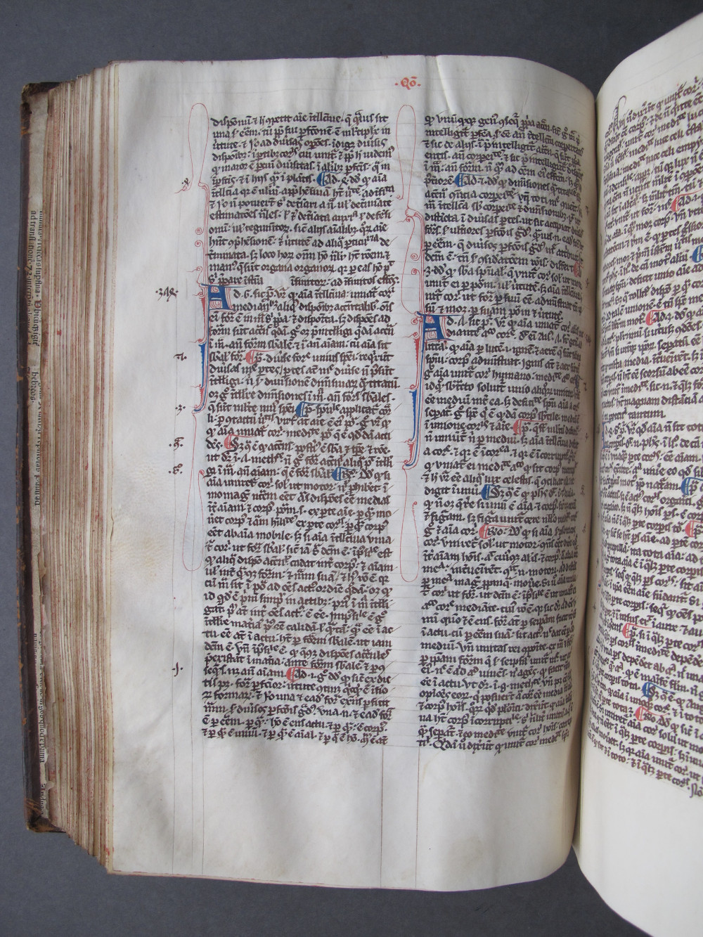 Folio 102 verso