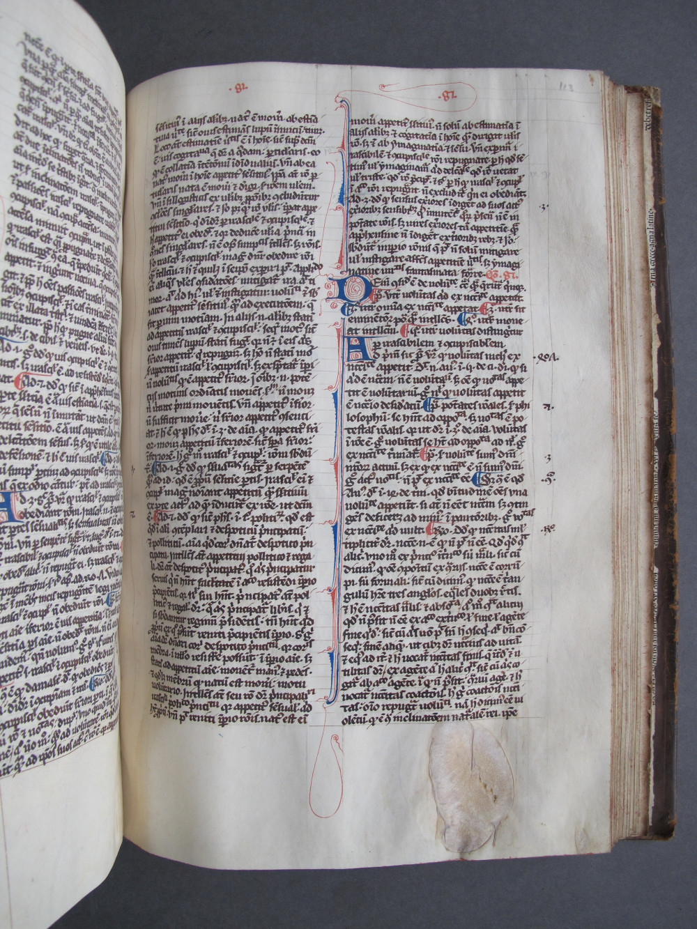 Folio 113 recto