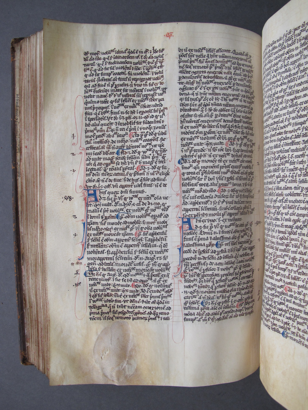 Folio 113 verso
