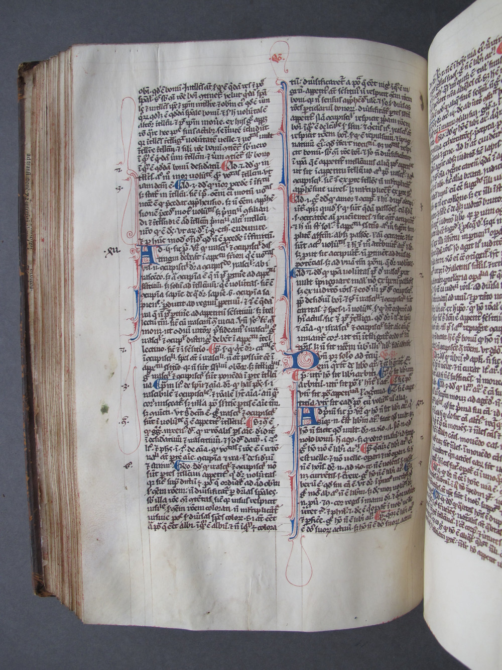 Folio 114 verso