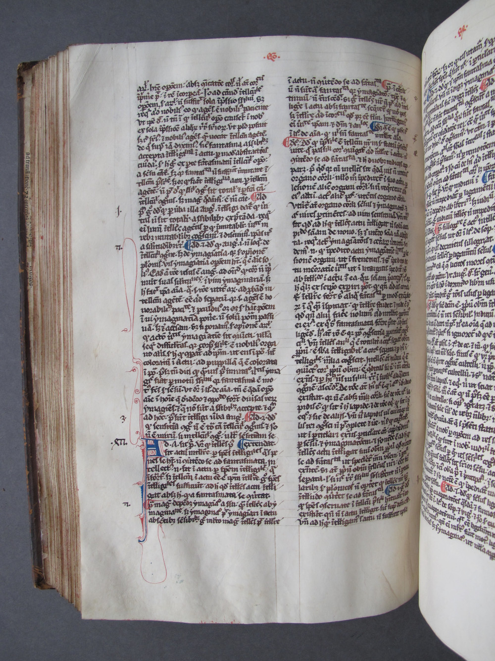 Folio 116 verso