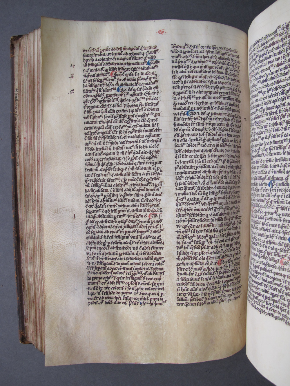 Folio 117 verso