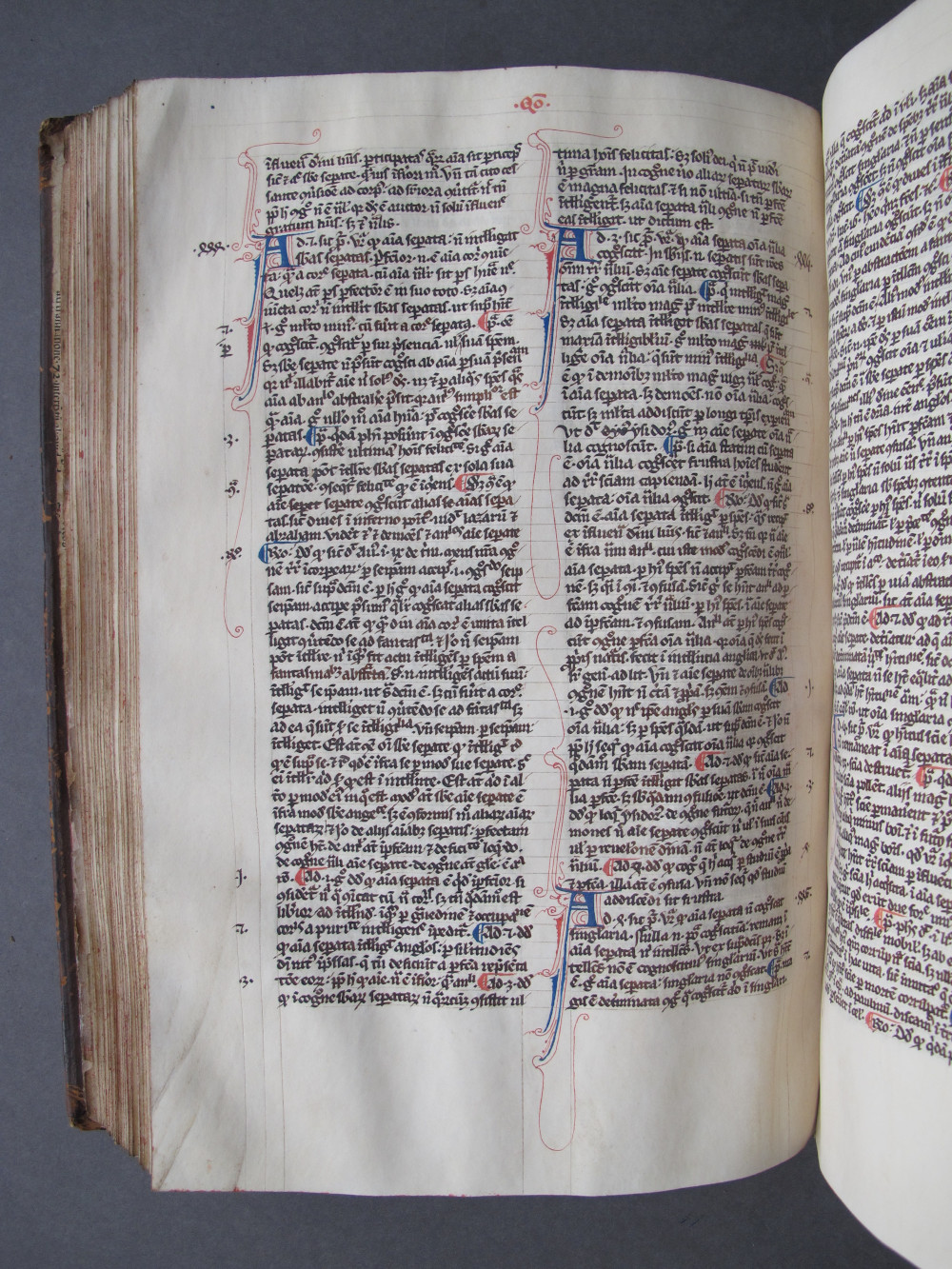 Folio 124 verso