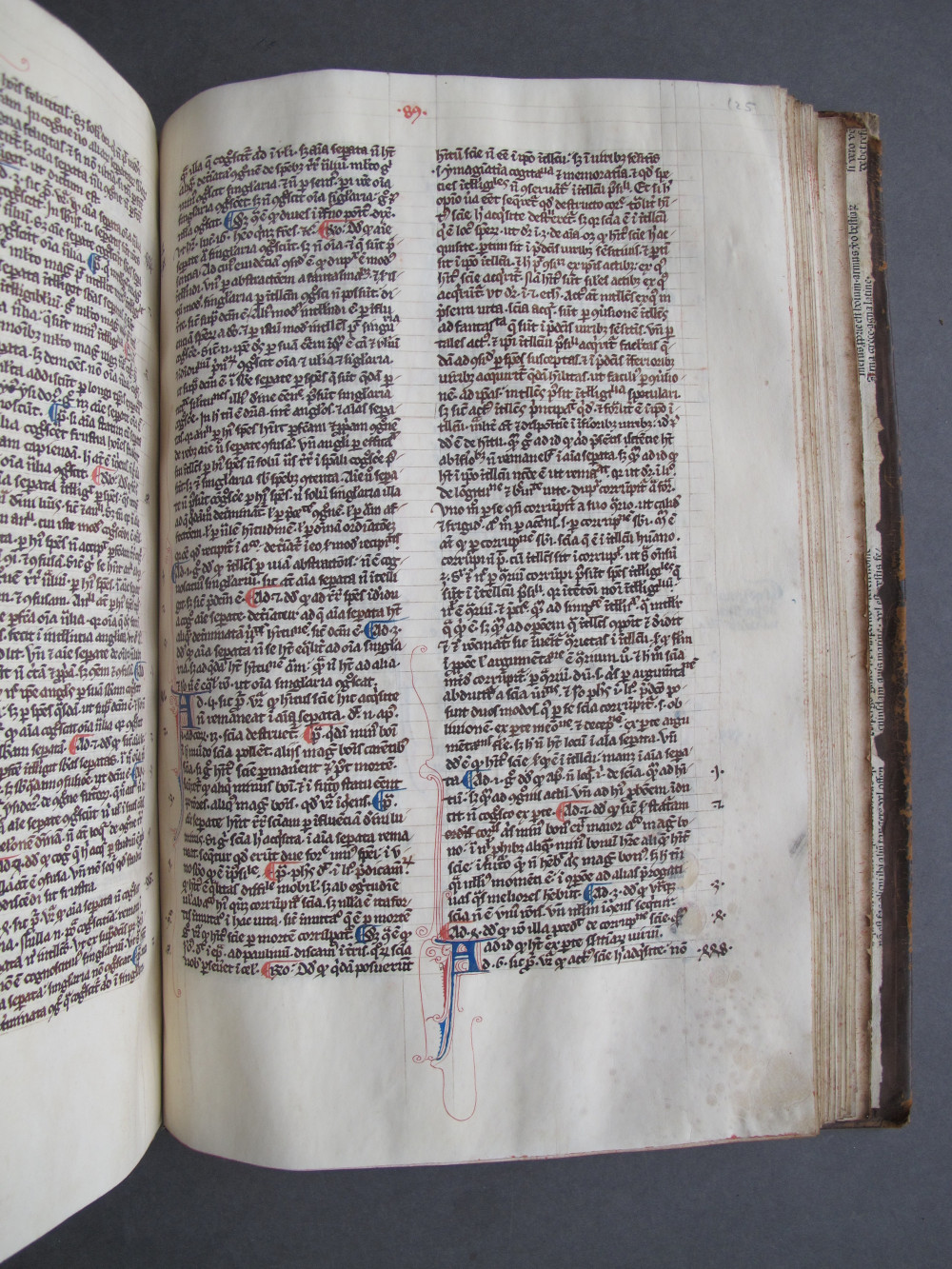 Folio 125 recto