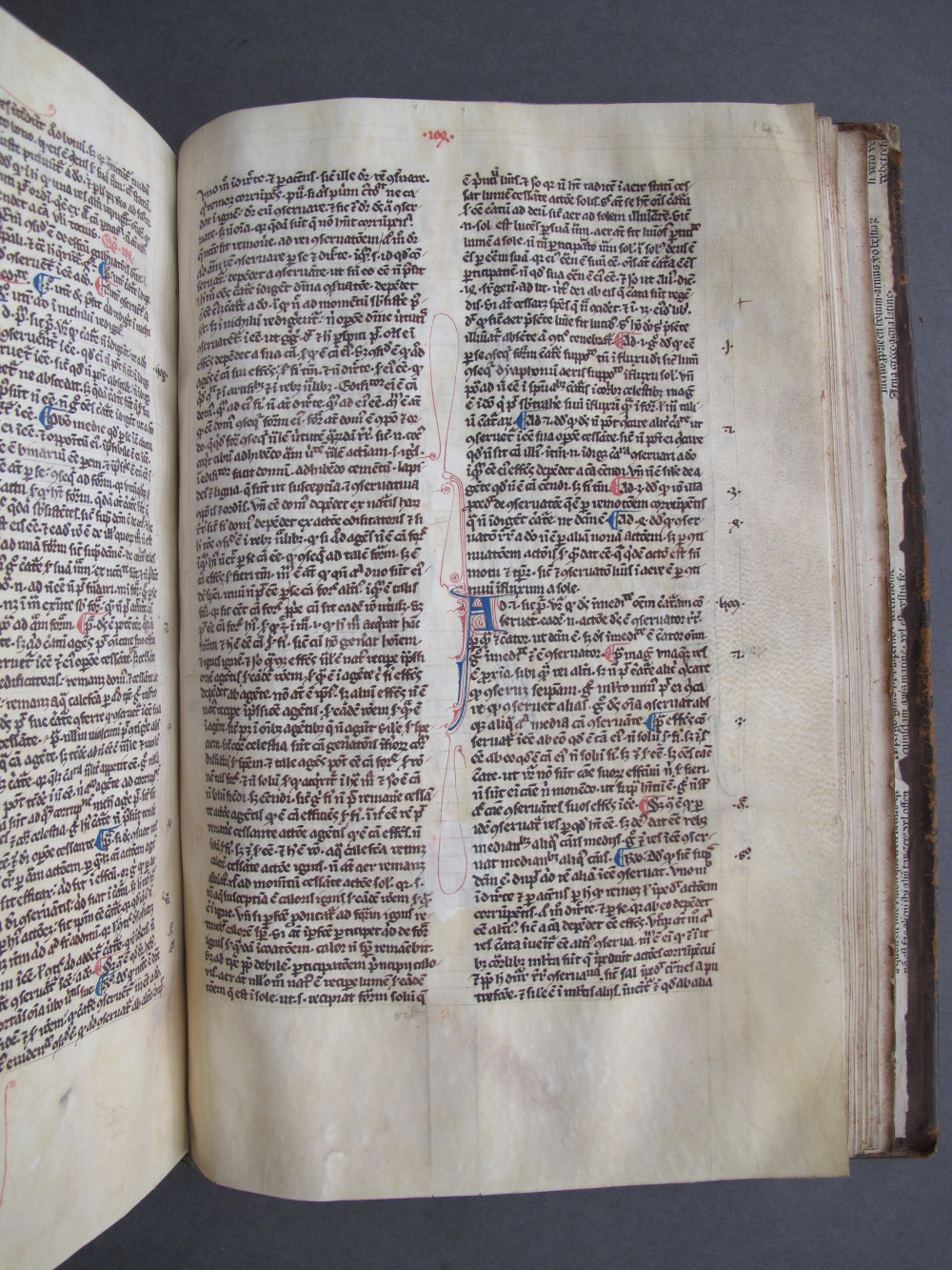 Folio 142 recto