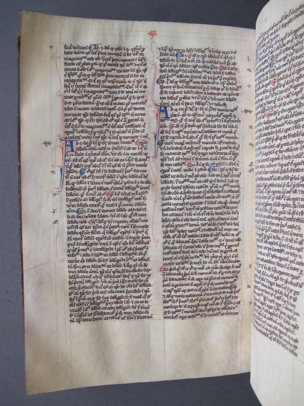 Folio 143 verso