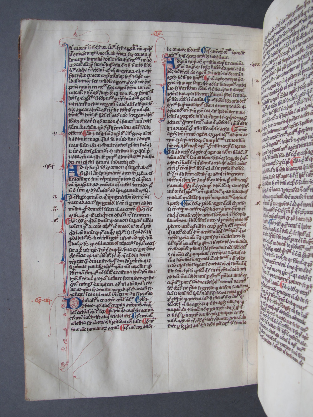Folio 156 verso