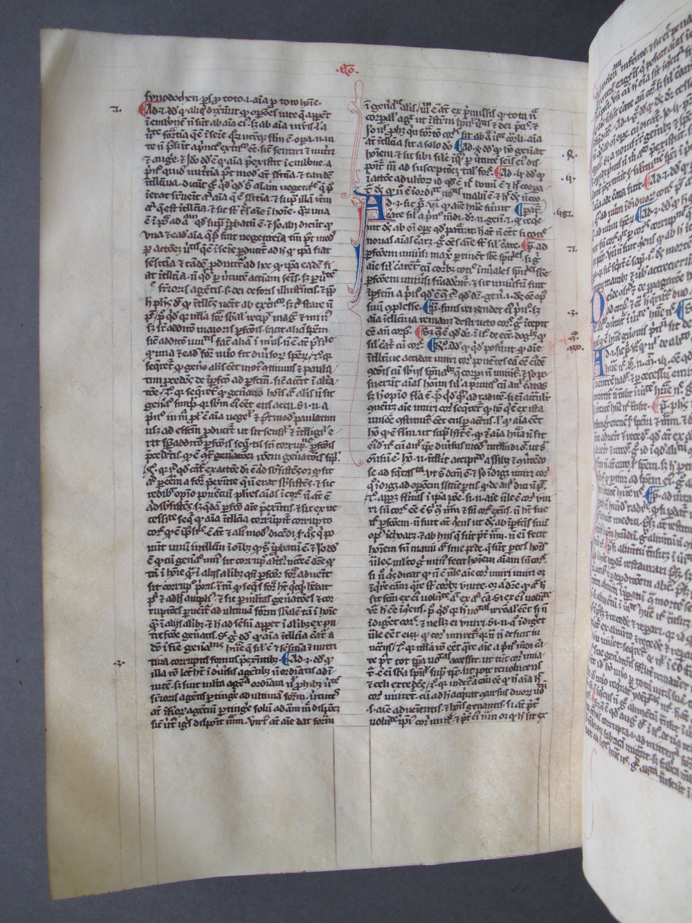 Folio 161 verso