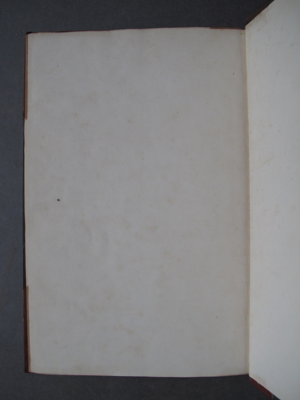 Folio 78 verso