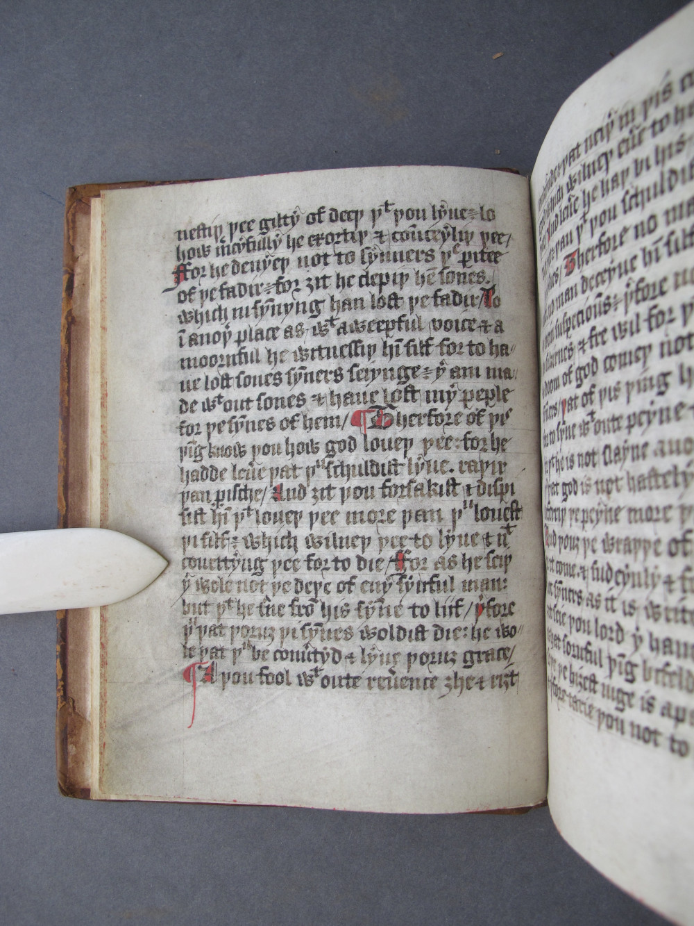 Folio 5 verso