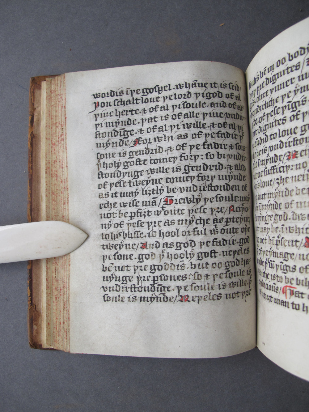 Folio 36 verso