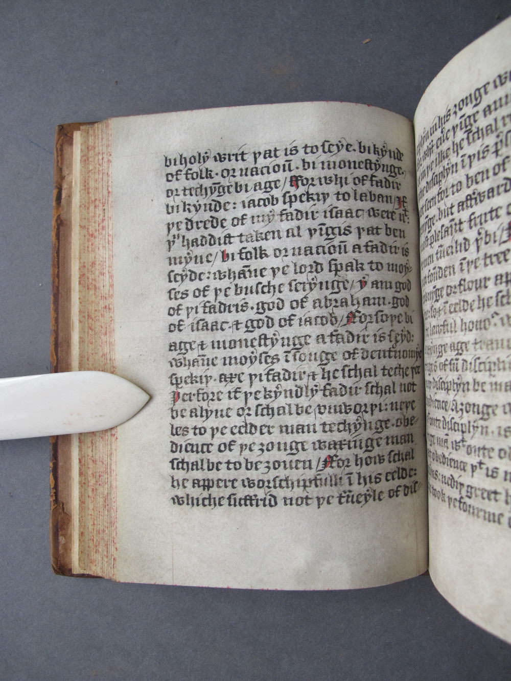 Folio 41 verso