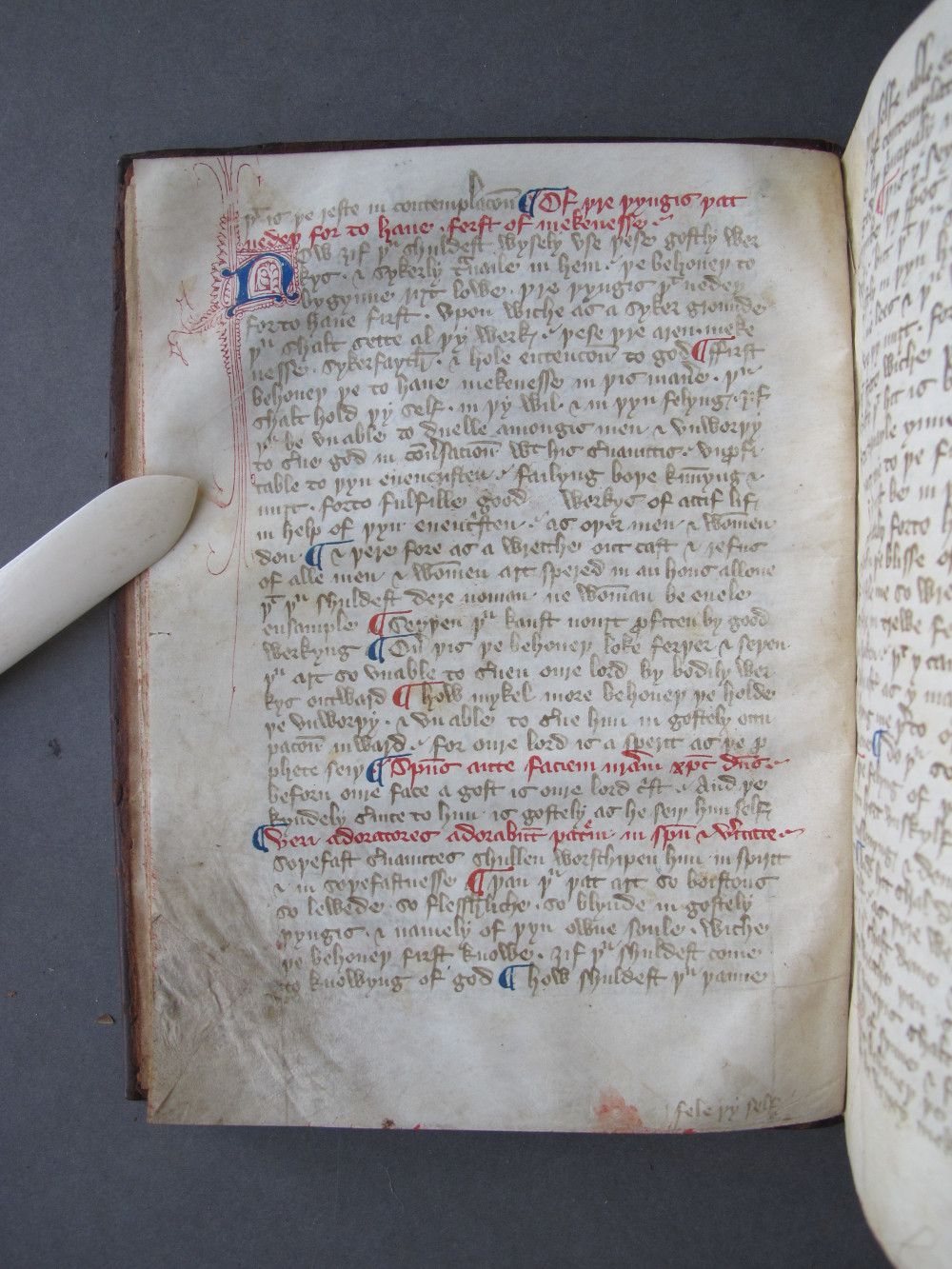 Folio 8 verso