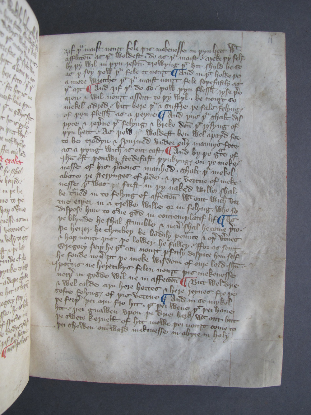 Folio 11 recto