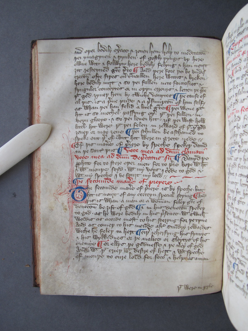 Folio 16 verso