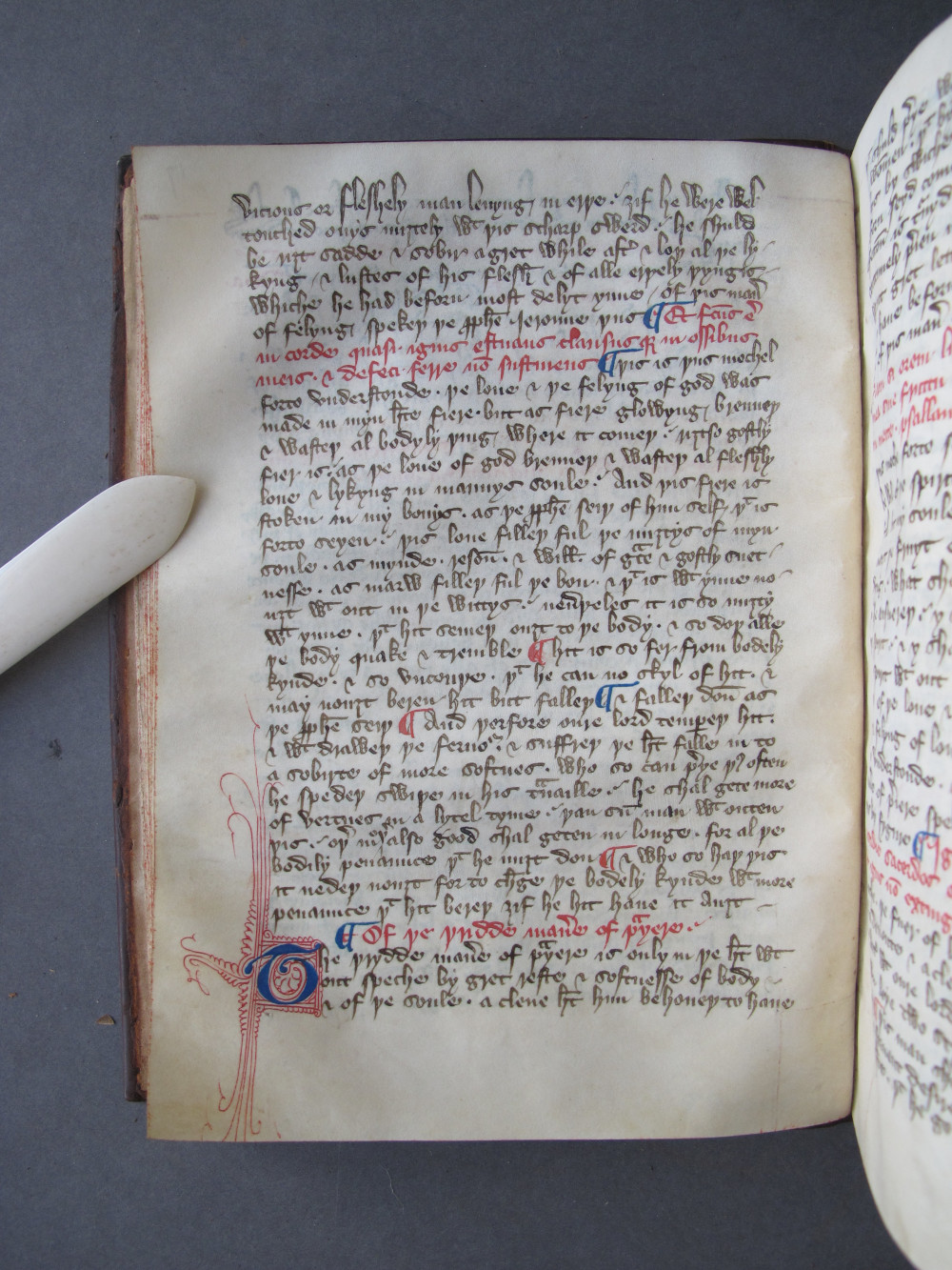 Folio 17 verso