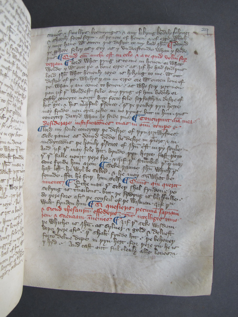 Folio 29 recto