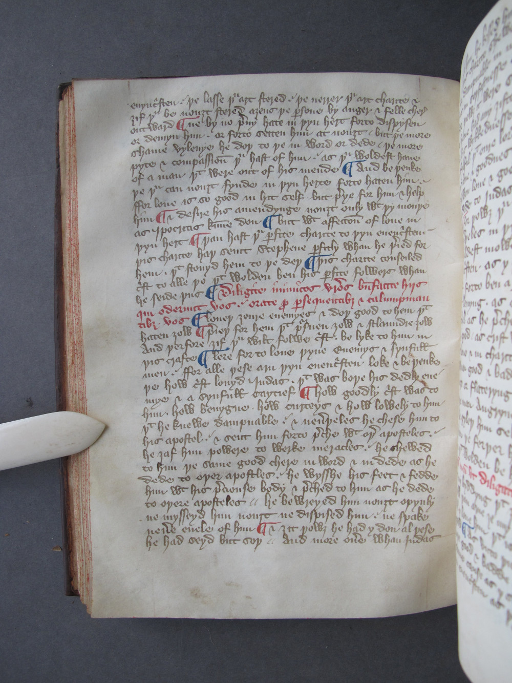 Folio 42 verso